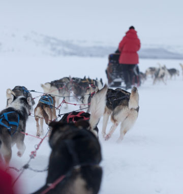 טיול בשלגים של לפלנד