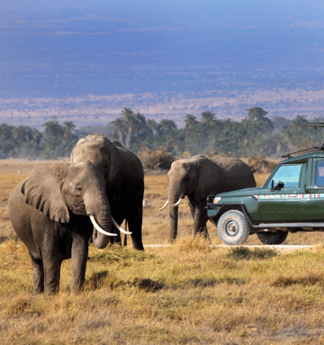 טיסות דר אל סאלם