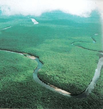 טיסות קראקס