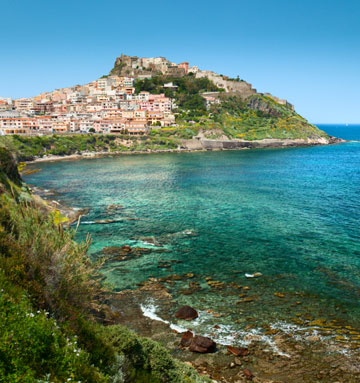 טיסות אלגרו