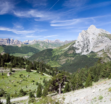 טיולים מאורגנים