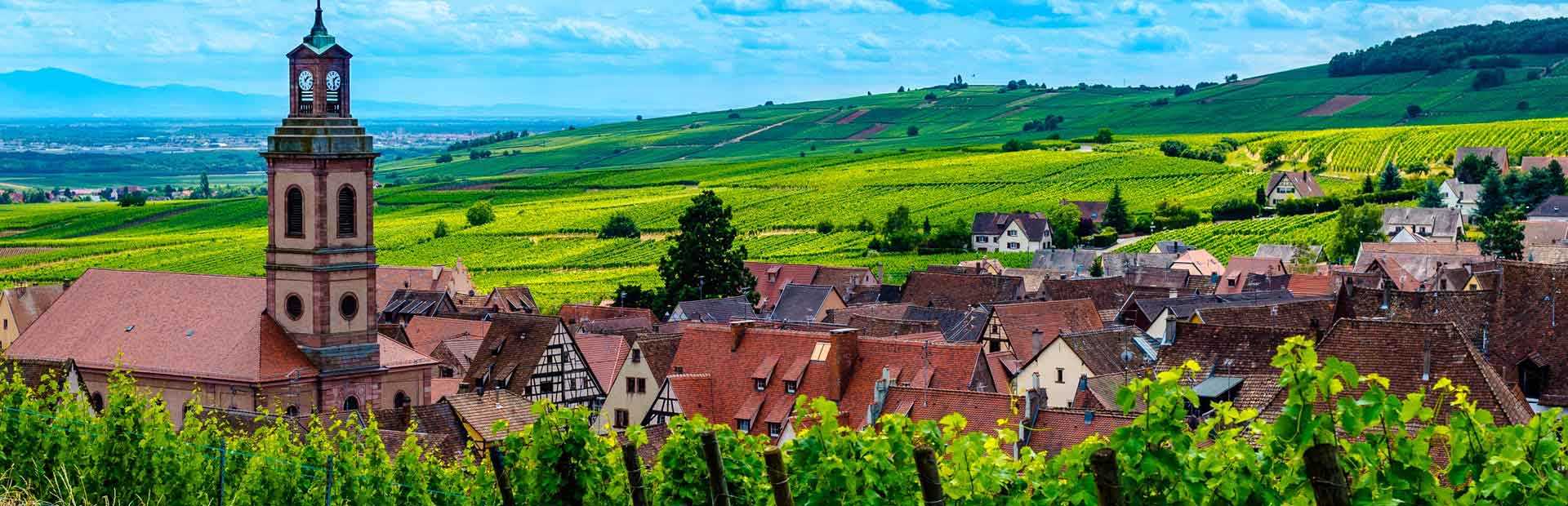 מדריך אלזס לורן