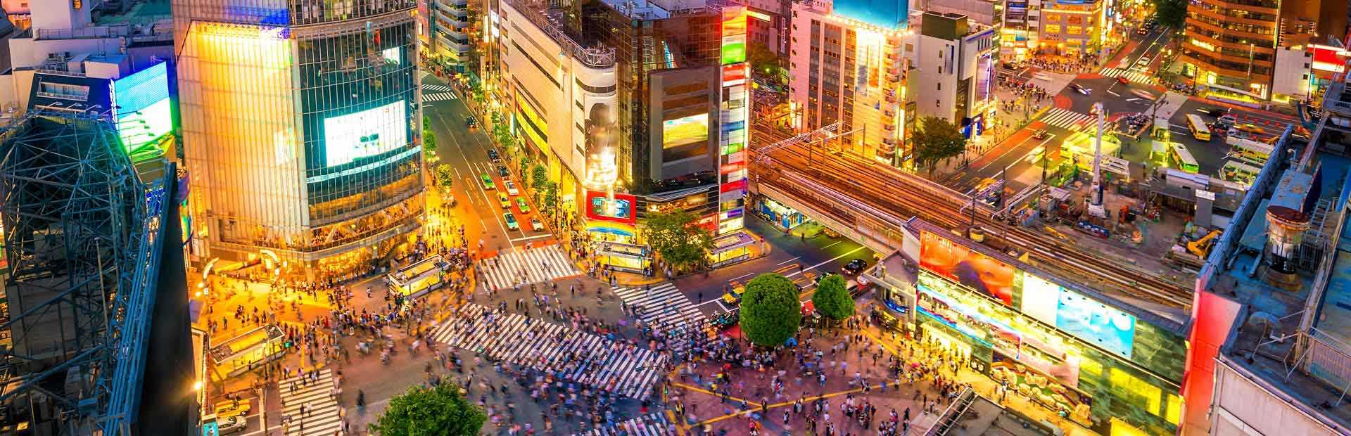 מדריך טוקיו